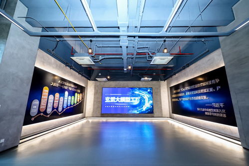 数聚玄武 探索跨境数据流动的中国方案与大数据服务